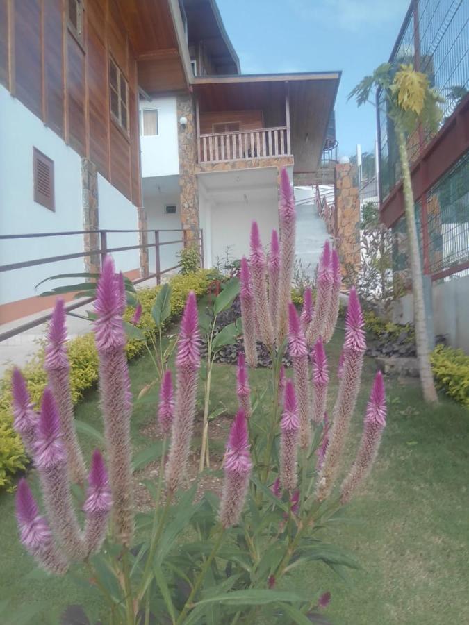 Domus Guesthouse Santana Esterno foto